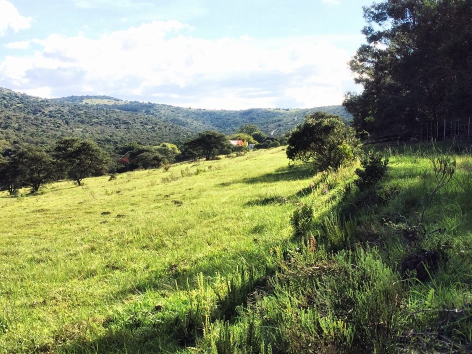 The valley from the east side